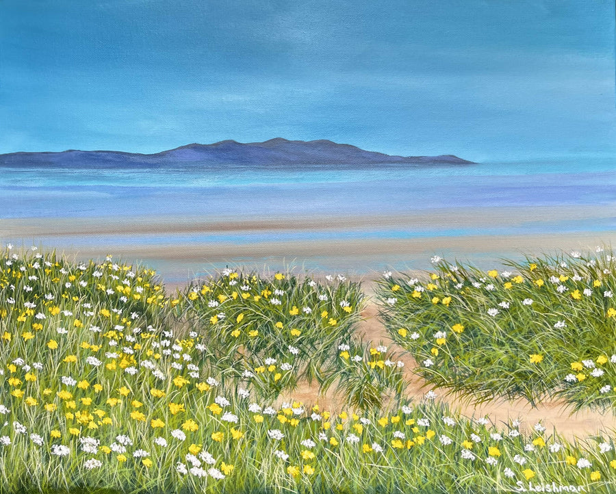 Arran and Wild Flowers 2024