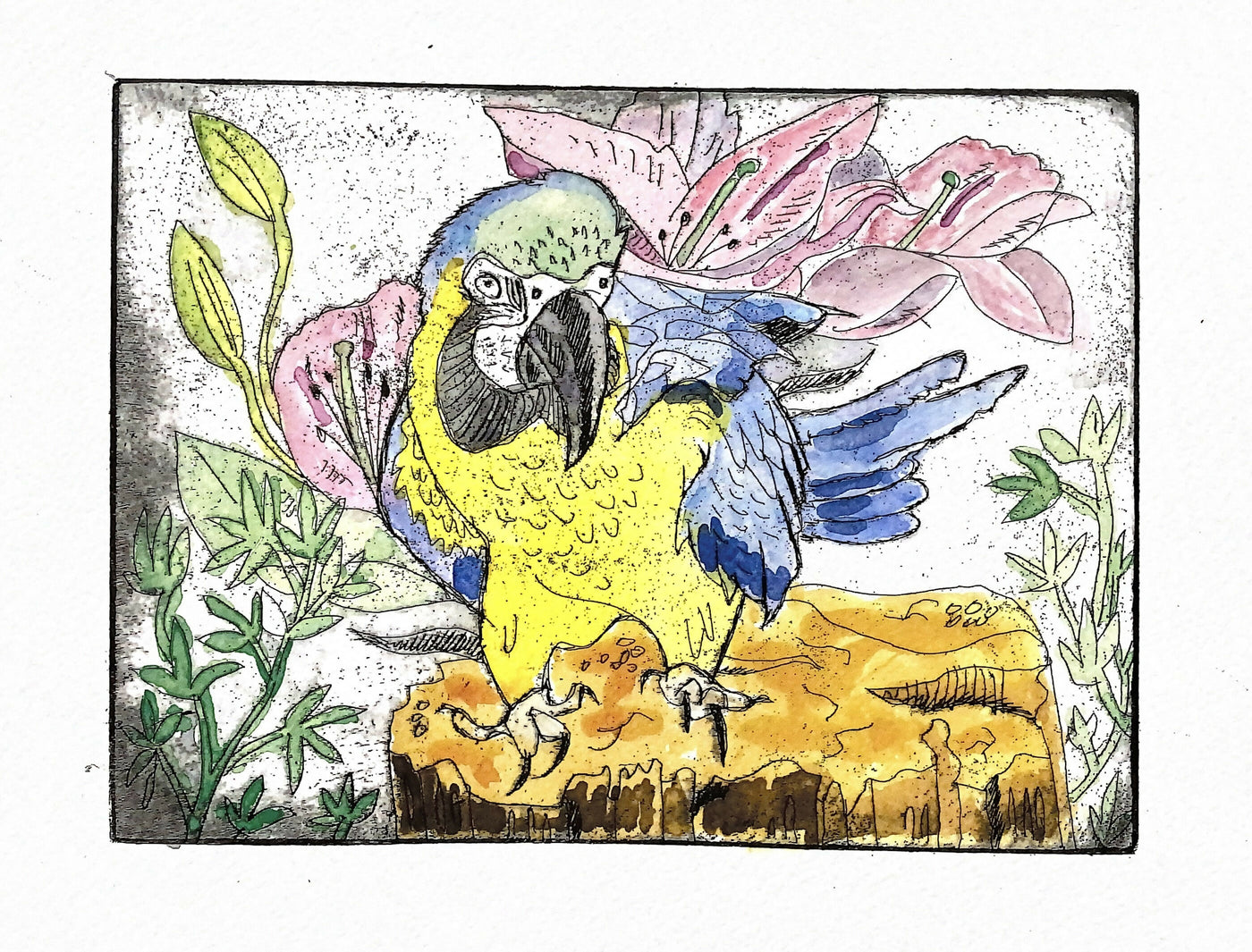 parrot