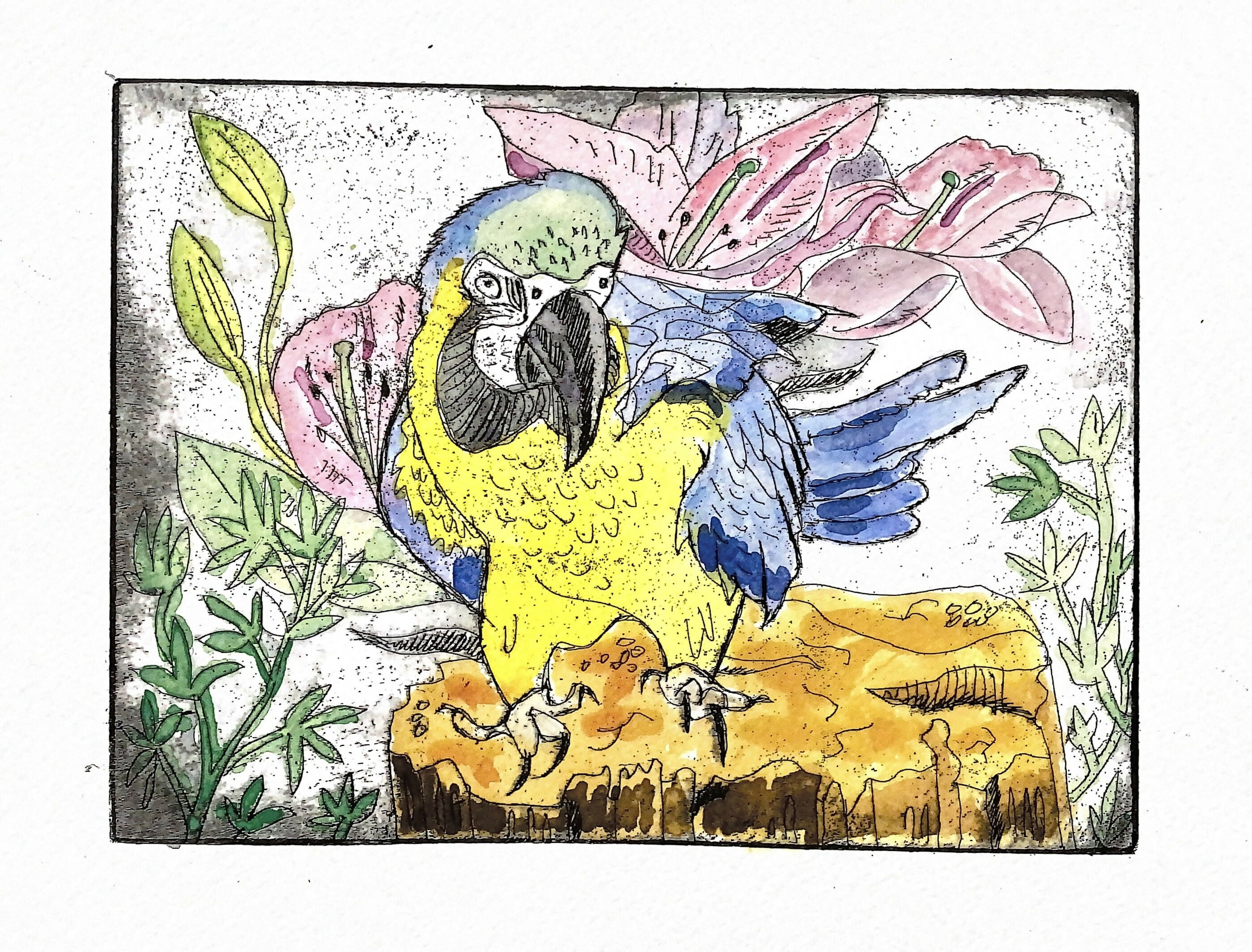 parrot