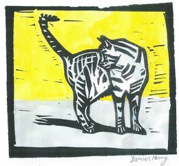Tabby Cat