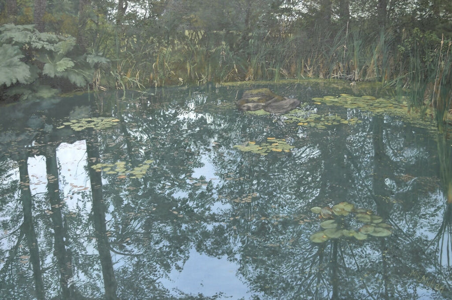 Lily Pond Threave Gardens Castle Douglas (web ready)