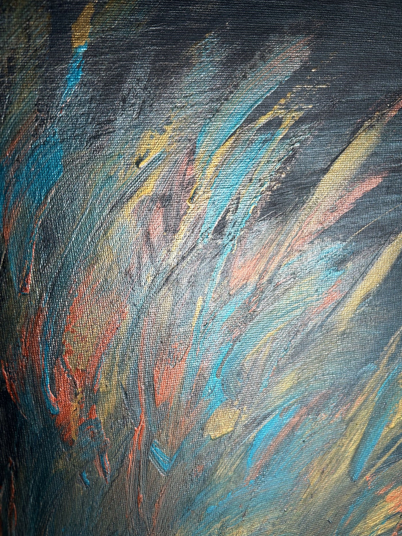 Peacock Feather