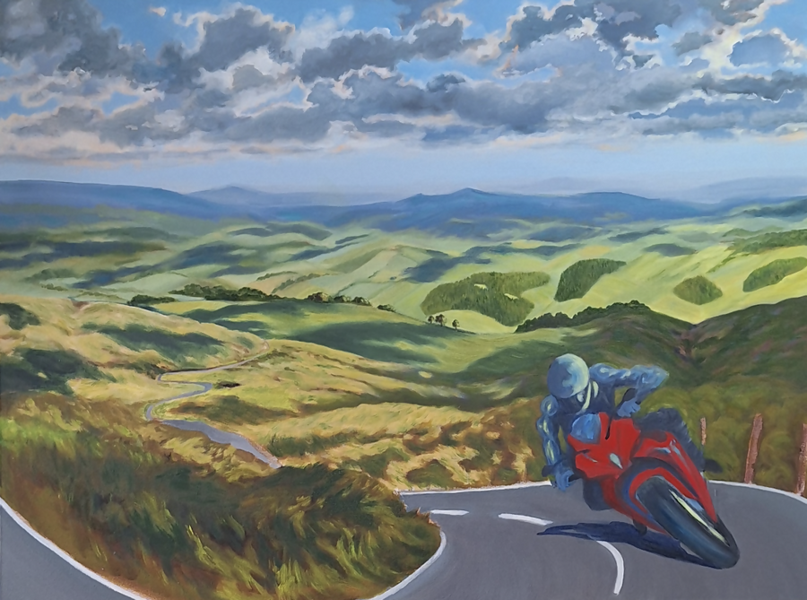 The Twisties