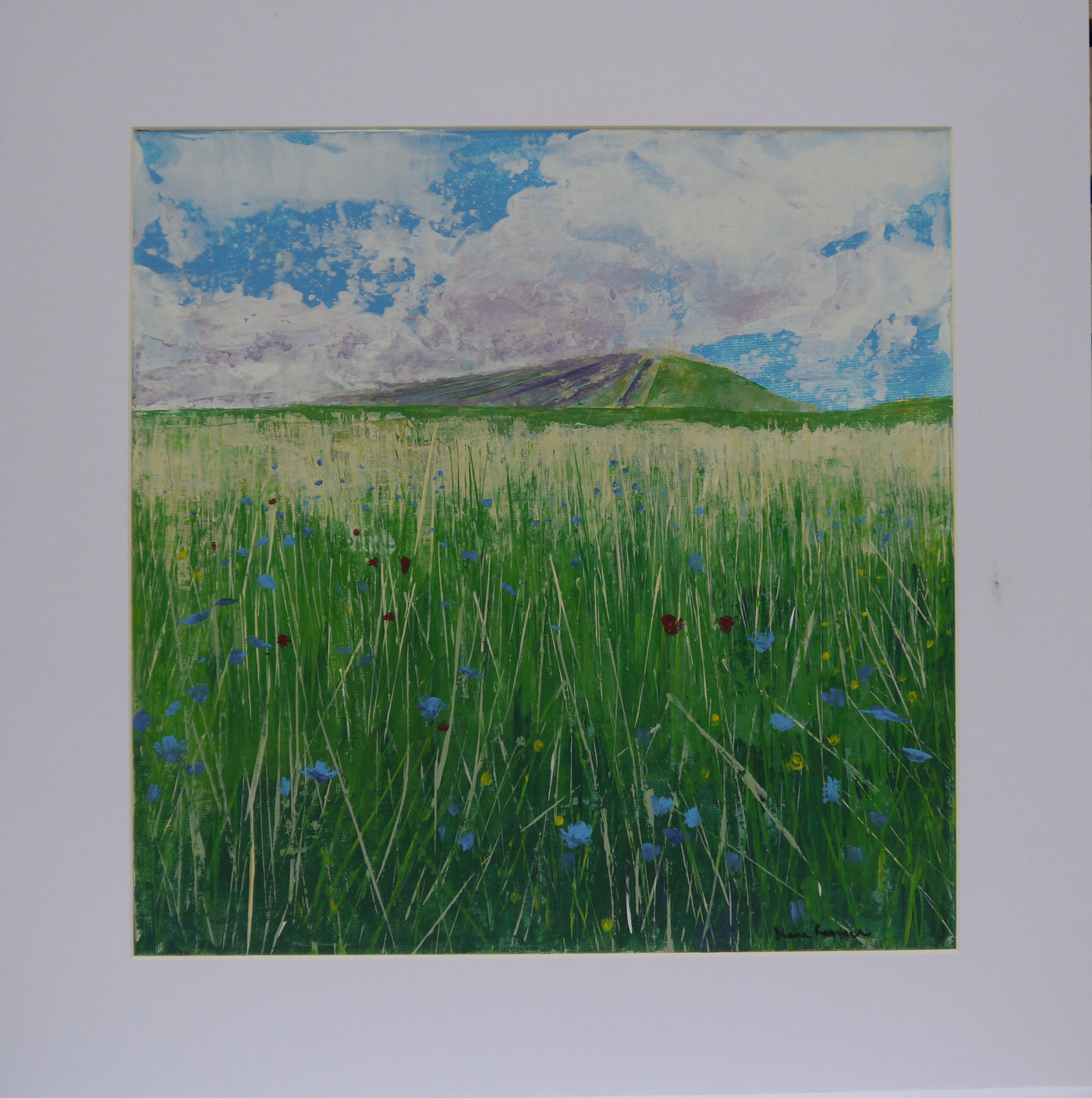 Lavendar2