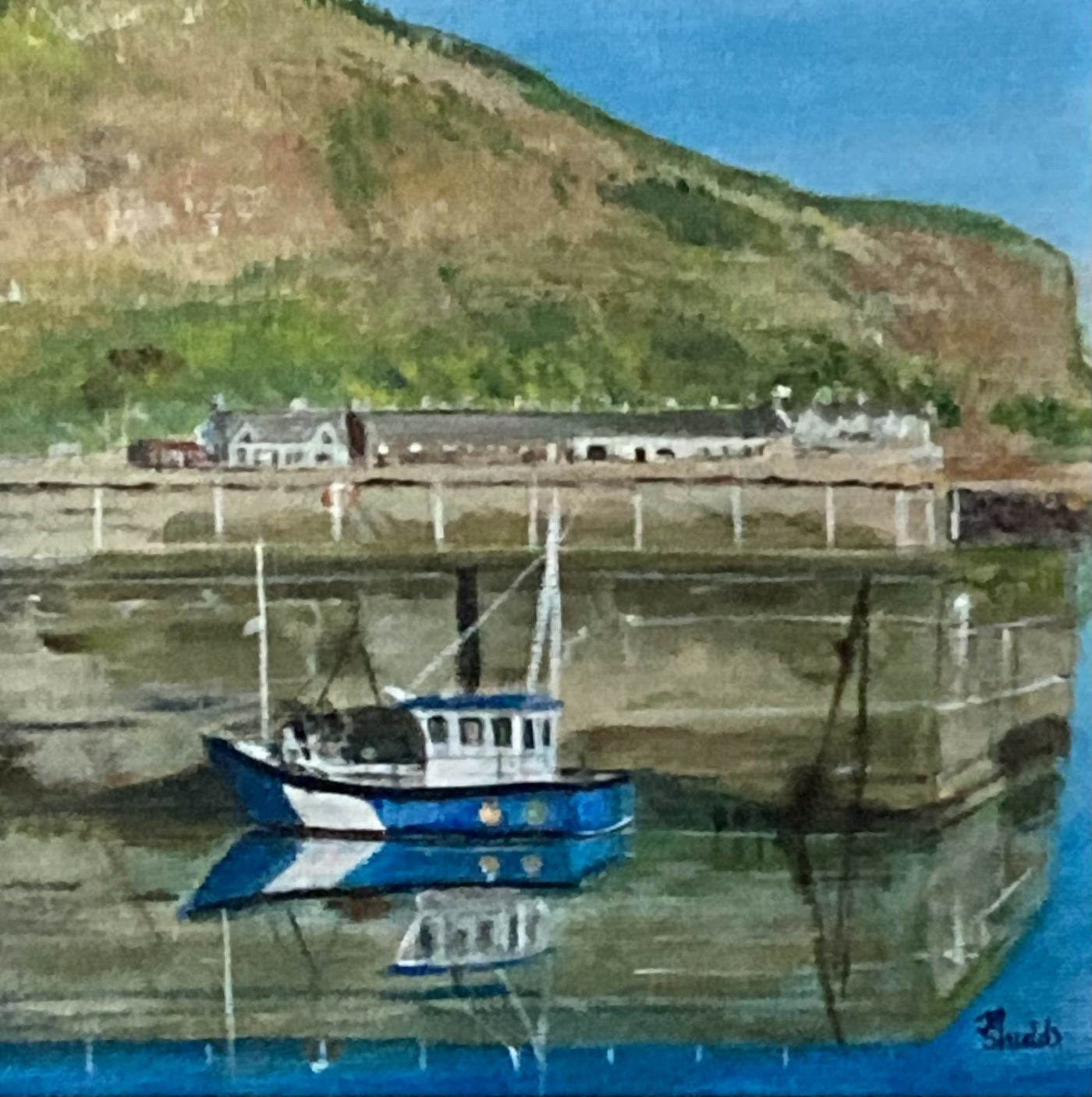 Jill Shields