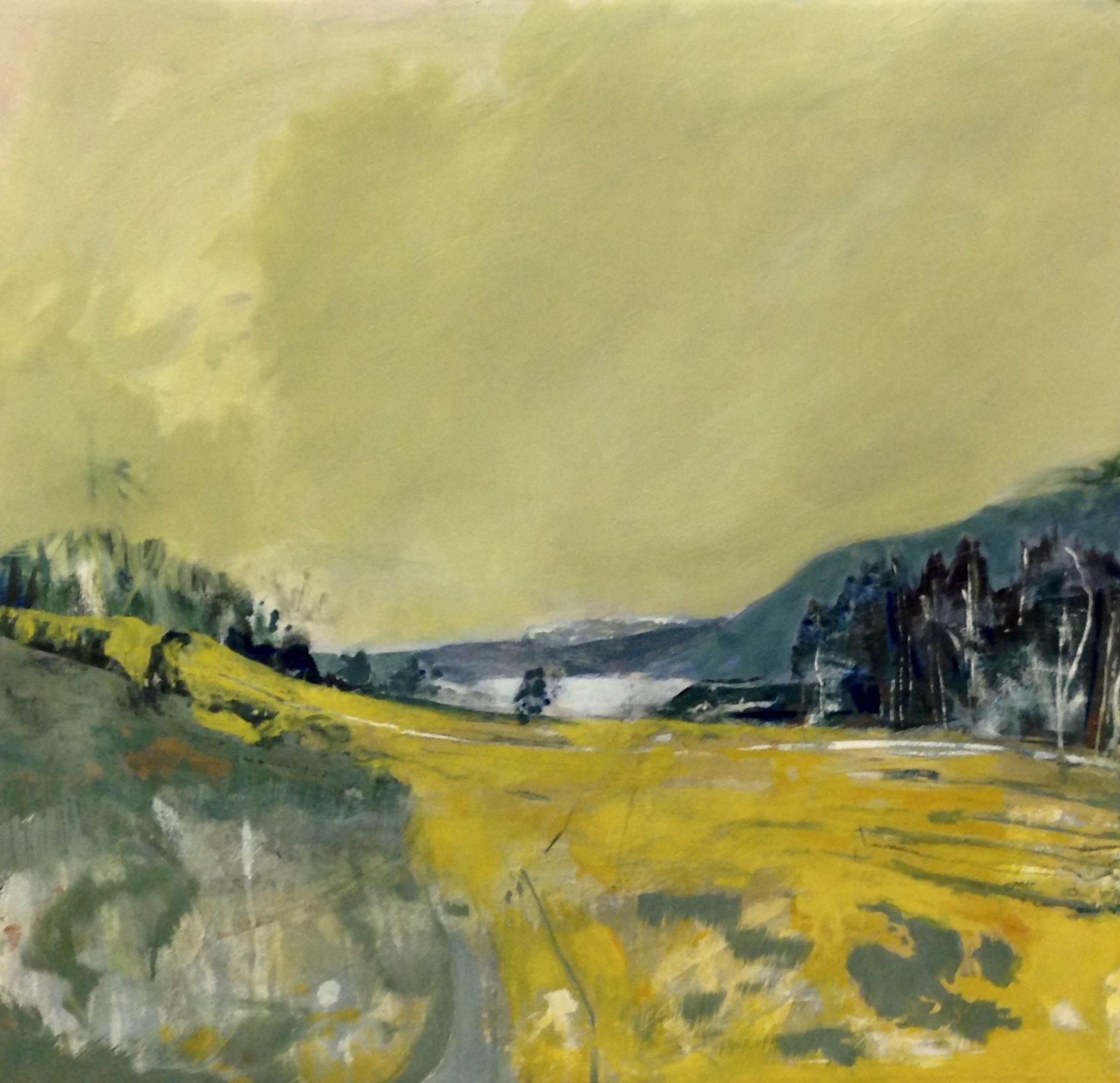 Distant Loch