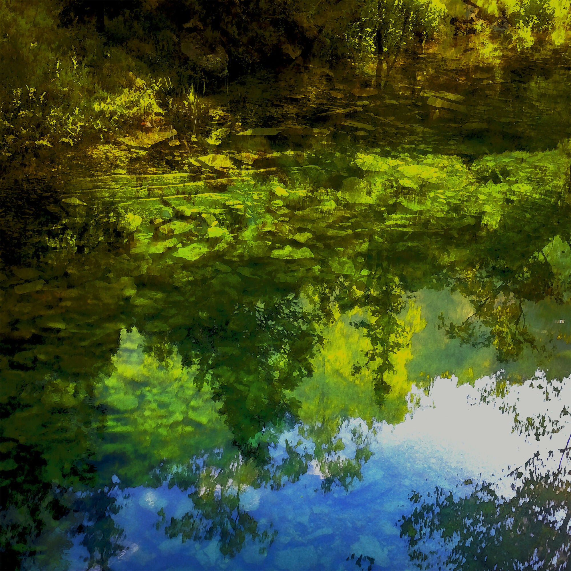 Lobos reflections