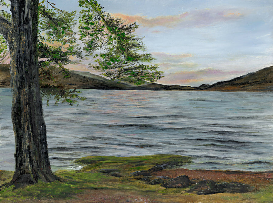 D2CCE400-4576-42D2-BB24-FDB98A0322D4