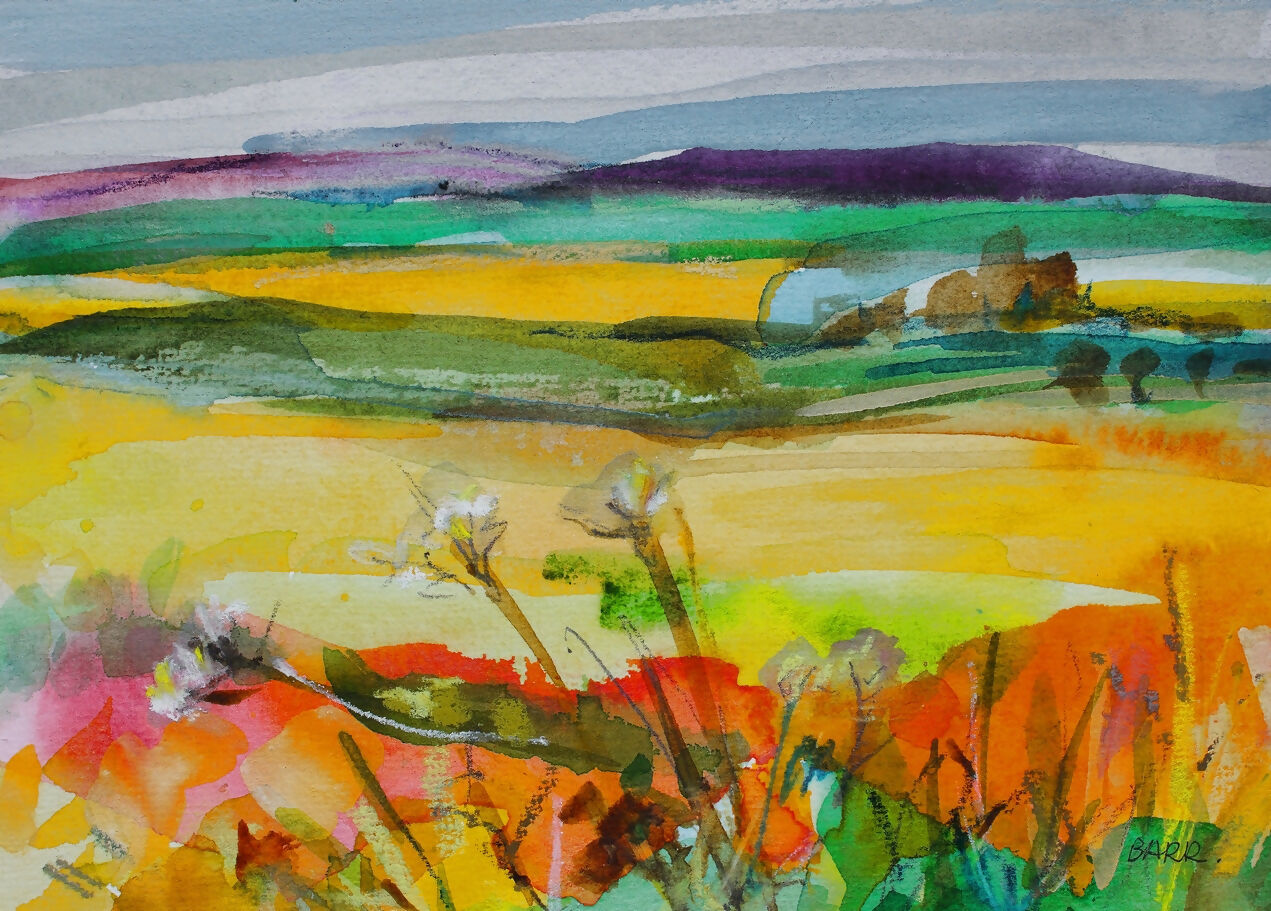 Auchnagatt Fields